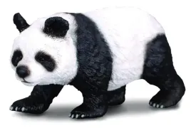 panda-wielka