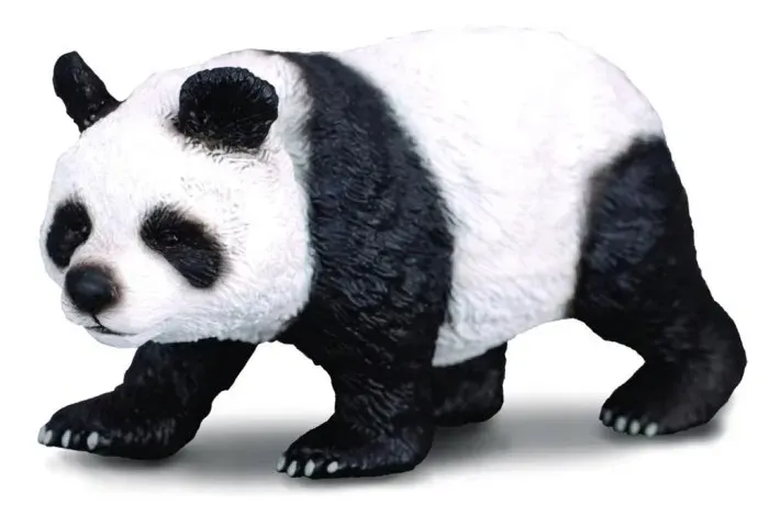 panda-wielka