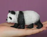 panda-wielka-plec-chlopcy-dziewczynki