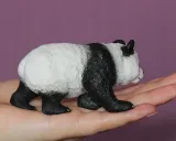 panda-wielka-marka-collecta