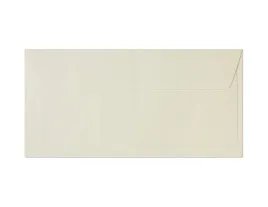 koperty-ozdobne-dl-holland-kremowe-120g-m2-10-sztuk-galeria-papieru