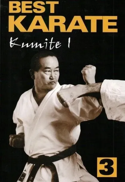 best-karate-3-w-2020