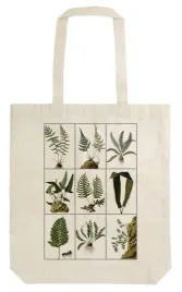 torba-bawelniana-stbag22-paprocie-shopperka