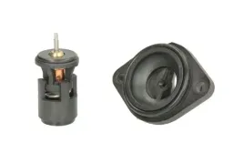 thermotec-termostat-srodka-chlodzacego-d2w004tt