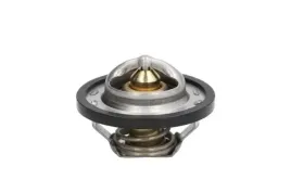 thermotec-termostat-srodka-chlodzacego-d2r001tt