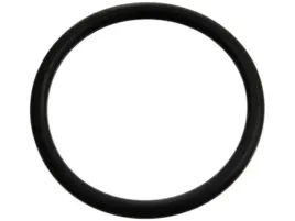 febi-bilstein-uszczelka-termostatu-fe17970