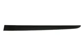 listwa-nadwozia-na-drzwi-tyl-l-do-renault-clio-iii-ph-i-5d-05-05-05-09