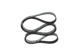 bosch-pasek-wieloklinowy-1-987-946-255