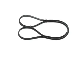 bosch-pasek-wieloklinowy-1-987-945-721