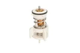 thermotec-termostat-srodka-chlodzacego-d2a010tt