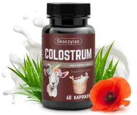 skoczylas-colostrum-siara-kozia-z-pigwa-60-kapsulek