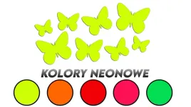 wycinane-naklejki-motyle-motylki-motyl-8szt-kolory-neonowe-j-and-a