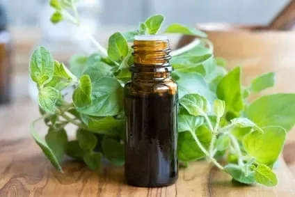 oregano-intercell-60-kaps-podstawowy-skladnik-oregano