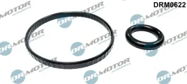 zestaw-uszczelek-chlodnicy-oleju-renault-clio-1-5dci-01-dr-motor-automotiv