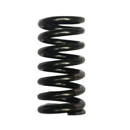 sprezyna-zaworu-vw-golf-98-scirocco-09-vag-036109623r