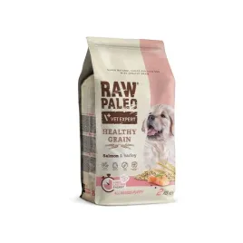 vetexpert-raw-paleo-hg-salmon-barley-puppy-2kg