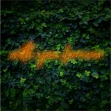 neon-led-with-you-forever-80x27cm-stan-nowy