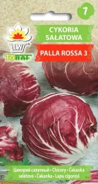 cykoria-salatowa-palla-rossa-3-czerwona-nasiona-5-g