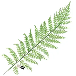sztuczne-liscie-zielone-paproc-lisc-paproci-galazka-do-kompozycji-wazonu