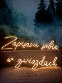 neon-zapisani-sobie-w-gwiazdach-104x50cm