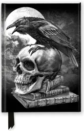 notatnik-a5-linia-tw-kruk-i-czaszka-alchemy