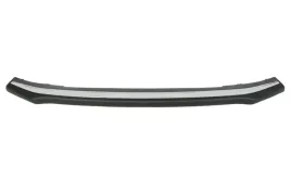 listwa-zderzaka-przod-do-toyota-rav4-iv-12-12-02-16-5703-05-8178920p