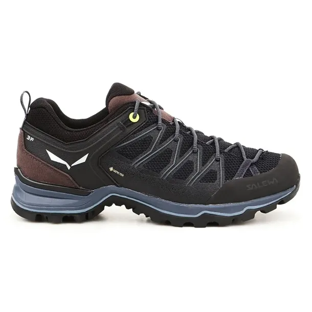 ms-mtn-trainer-lite-gtx