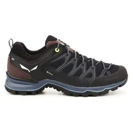 ms-mtn-trainer-lite-gtx