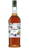 syrop-figa-1l-giffard