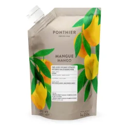 puree-mango-chlodzone-1-kg-1-kg-ponthier