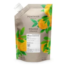 puree-pomaranczowe-chlodzone-1-kg-ponthier