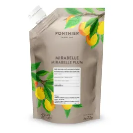 puree-mirabelkowe-chlodzone-1-kg-ponthier