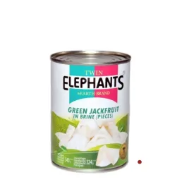 jackfruit-zielony-krojony-w-zalewie-540g-twin-elephants