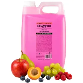 stapiz-basic-salon-fruit-szampon-do-wlosow-fryzjerski-owocowy-5000ml