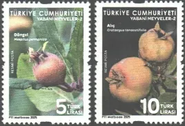 turcja-2025-mnh-f-vf-dziko-rosnace-owoce