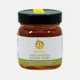 organiczny-grecki-miod-kwiatowy-450g