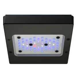 ecotech-marine-radion-xr15-g6-pro