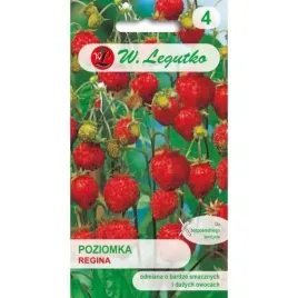 legutko-nasiona-poziomka-fragaria-vesca-regina-czerwone-0-20g