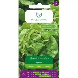 legutko-nasiona-salata-lactuca-sativa-syrena-1-00g