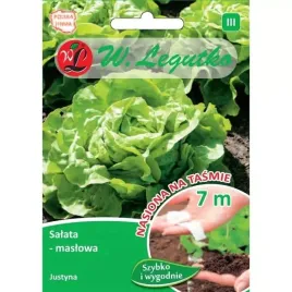 legutko-nasiona-tasmy-salata-lactuca-sativa-justyna-zielone-7m