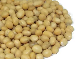 soja-ziarno-400g-od-skworcu-sa