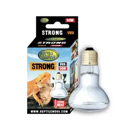 reptile-nova-uva-50w-strong