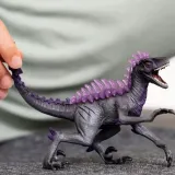 raptor-cienia-plec-chlopcy-dziewczynki