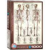 puzzle-1000-the-skeletal-system-6000-3970