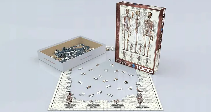 puzzle-1000-the-skeletal-system-6000-3970-kod-producenta-628136639705