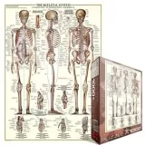 puzzle-1000-the-skeletal-system-6000-3970-liczba-elementow-1000