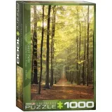 puzzle-1000-forest-path-6000-3846