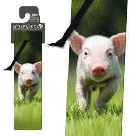 zakladka-3d-15409-swinka