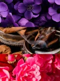 perfumy-yodeyma-silk-elixir-15-ml-eko-produkt-stan-nowy