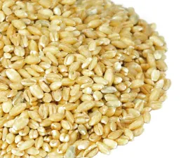 kasza-jeczmienna-peczak-1kg-duza-paka-od-skworcu